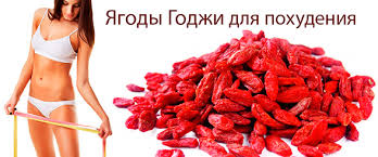 ягоды годжи 