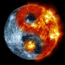 Image result for yin yang