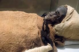 Mummies With Golden Tongues Found In Ancient Cemetery; What Could It Signify [PH๏τos] | IBTimes