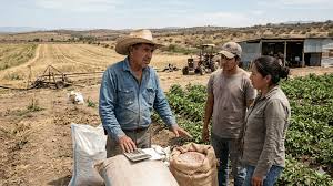 La crisis de la potasa eleva los costos de producción agrícola un tercio