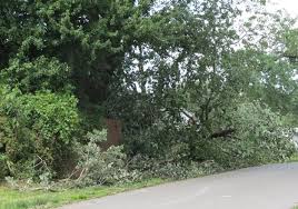 Storm leaves hundreds without power