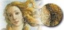Online photo collage maker - create your mosaic - Mozaus software