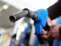 Image result for fuel subsidy