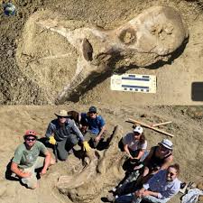 Know - Hidden beneath the rolling hills of Turkey's Şanlıurfa region, archaeologists have uncovered a site that may be just as revolutionary as Göbekli Tepe—its mysterious sibling, Karahantepe. What they found here