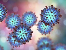 Measles Patient May Have Exposed People To Virus At SoCal Theme Park