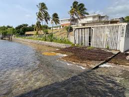 martinique.franceantilles.fr - News update