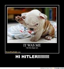Image result for hi meme