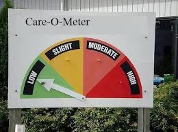 images?q=tbn:ANd9GcRU-iF4EmeAv_WLdQKj1LJgpWrUmwxttorYIKk5jPAW-MPWgLrP