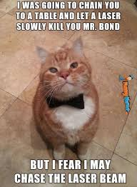 Image result for Animal Meme