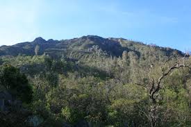 Image result for Gunung Lawu, Perbatasan Jawa Tengah-Jawa Timur
