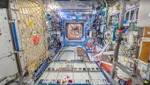 ط§ظ?ط¢ظ?.. ظ?ظ?ظ?ظ?ظ? ط£ط®ط° ط¬ظ?ظ?ط© ظپظ?