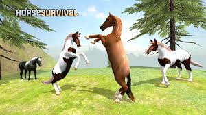 Image result for HORSE