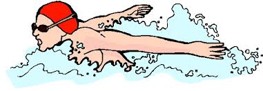 Image result for swimming cartoon