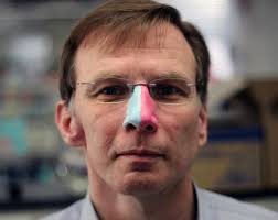 Image result for zinka