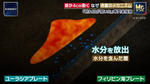 Yahoo!ニュース - News update