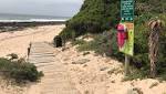 General beach safety tips bear