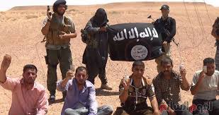 نتیجه تصویری برای کشته شدن 16 سرکرده داعش در عملیات ویژه عراق