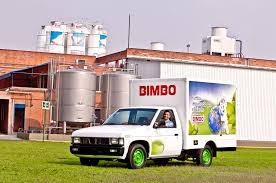 Resultado de imagen para bimbo