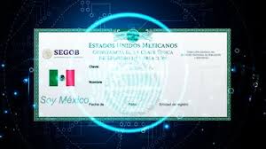El Financiero - News update