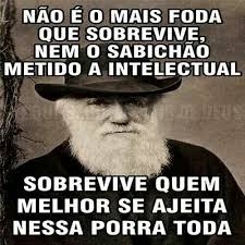Resultado de imagem para seleção natural   humor