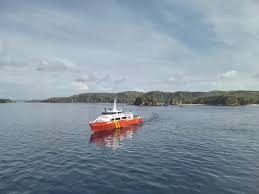 Regresa a puerto sin hallar a niño español misión activada tras naufragio, en último día