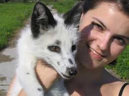 Résultat de recherche d'images pour "domesticated zebra"