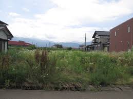 Image result for 大野市吉野町