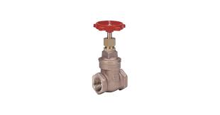 Gate Valve, Class 125, 3/4 In. : Amazon.sg: DIY and Tools