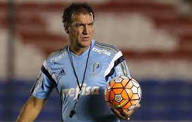 Image result for cuca técnico