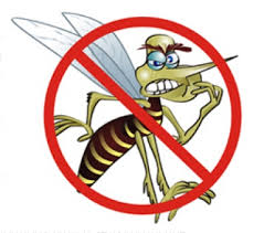 Risultati immagini per dengue