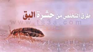 شركة رش مبيدات شرق الرياض 0553249290 شركة مكافحة حشرات شرق الرياض Images?q=tbn:ANd9GcRV9F9s97CWb8FMFMCuDIiDYfm4B7q-OaeuUOakpBikCbY8k6aC