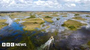 BBC - News update