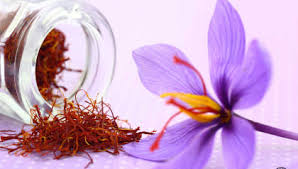 Saffron "zafron" industry hat... - Saffron "zafron" industry