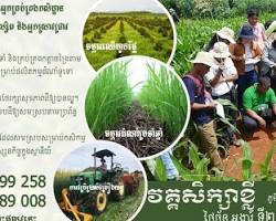 Image of Agricultural training program in Cambodia