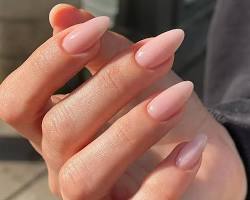 Image de Medium Pink Almond Nails