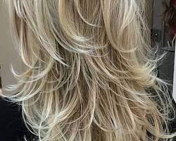 Image de Long Grey Hair with Choppy Layers