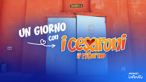 Trend Google: mastronardi