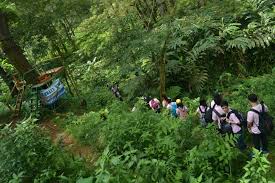 Hasil gambar untuk pecinta alam indonesia