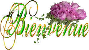 Image result for bienvenue