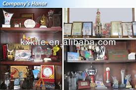 Resultado de imagem para bird scarer from china