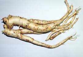 Image result for medicinal roots