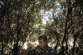 Image result for World Foreign Legions