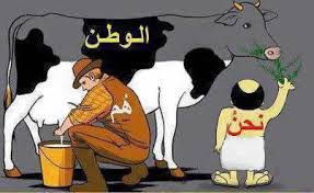 Image result for ‫اشهار مغربي‬‎