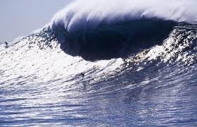 Resultado de imagem para BIG WAVE SURF