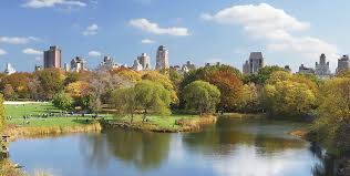 Image result for Dayuse.com