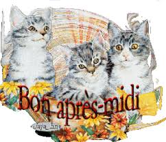 Résultat de recherche d'images pour "bonne fin d'apres midi"
