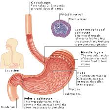 http://symptomsofulcerativecolitis.org/