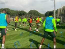 Friendlies: Ndidi completes Eagles camp as 22 players train
