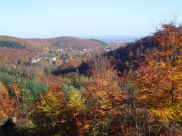 Picture of Hasserode