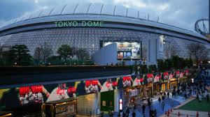 Japan vs. Czechia: A World Baseball Classic Celebration of Global Baseball
